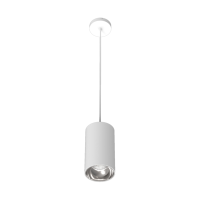S2 Pendant Mounted LED Downlight 10W-80W
